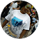 ALV UjVPLIzFPyKWeyoXgkthHq8U2WvIPrNXv5ogP0KiD0nz tirDdxL=s56 c0x00000000 cc rp mo